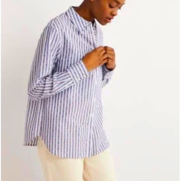 BODEN Embroidered Relaxed Metallic Striped Shirt - Picture 5 of 14